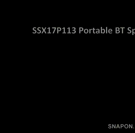 FCC ID 2AAL7-SSX17P113 Users Manual