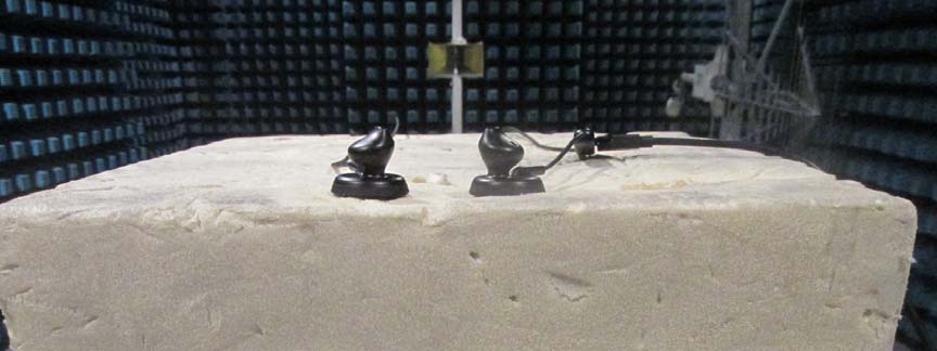 FCC ID 2AB2S-IAM5110 Test Setup Photos