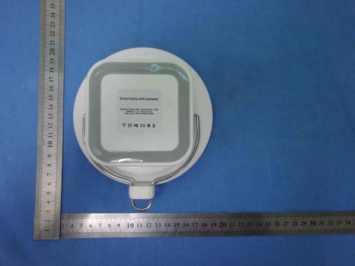 FCC ID 2AC6DM7 ID Label Location Info