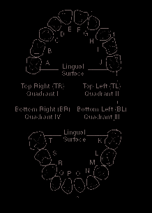 FCC ID 2AEZMGC01 Users Manual