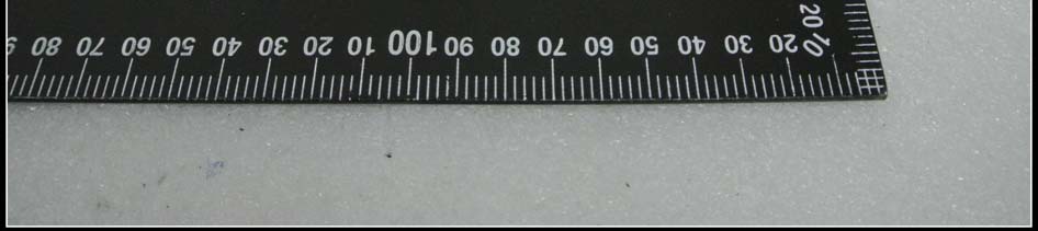 FCC ID 2AFHMQMRCM External Photos