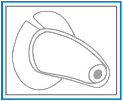 FCC ID 2AI4Q-ULITE2000 Users Manual