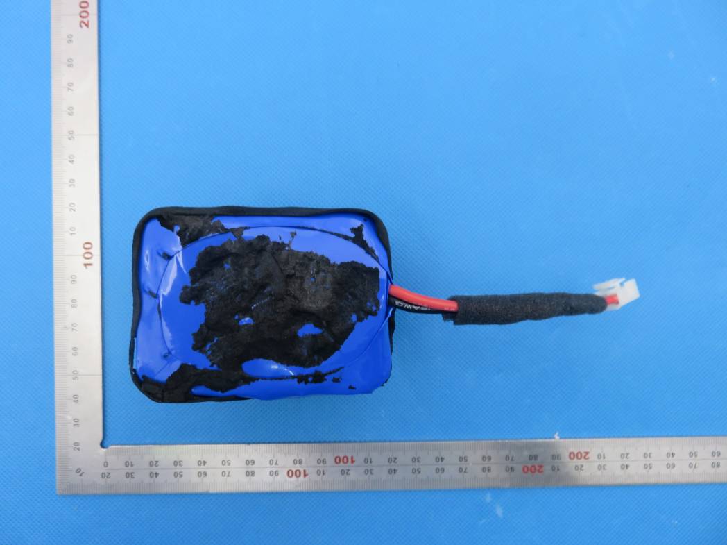 FCC ID 2AI8INIMAL Internal Photos