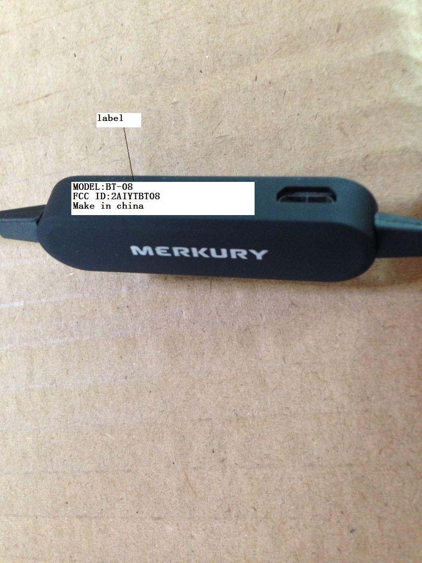 FCC ID 2AIYTBT08 ID Label Location Info
