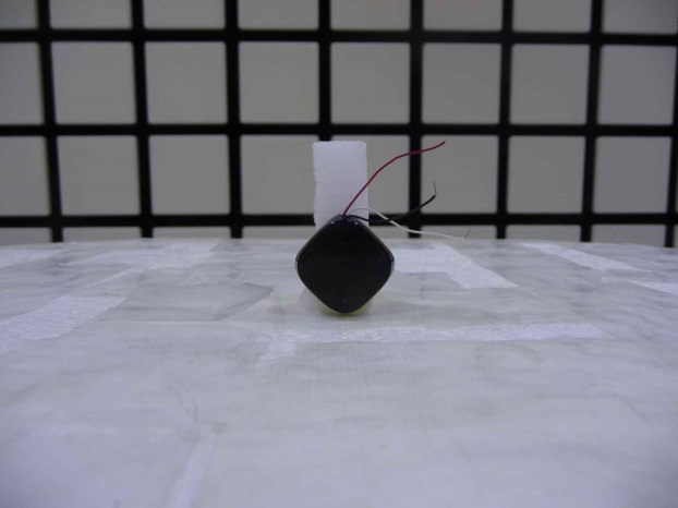 FCC ID GT3FC021 Test Setup Photos