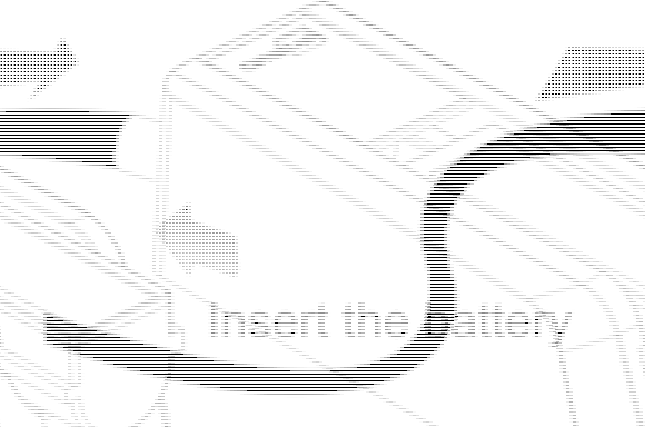 FCC ID Q3N-2560 Users Manual