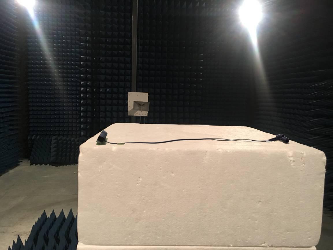 FCC ID QTG-IFPLGW Test Setup Photos