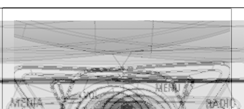 FCC ID RQ9NGIBT Users Manual