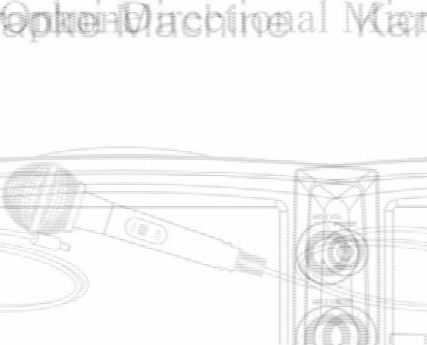 FCC ID SSM393MET151 Users Manual
