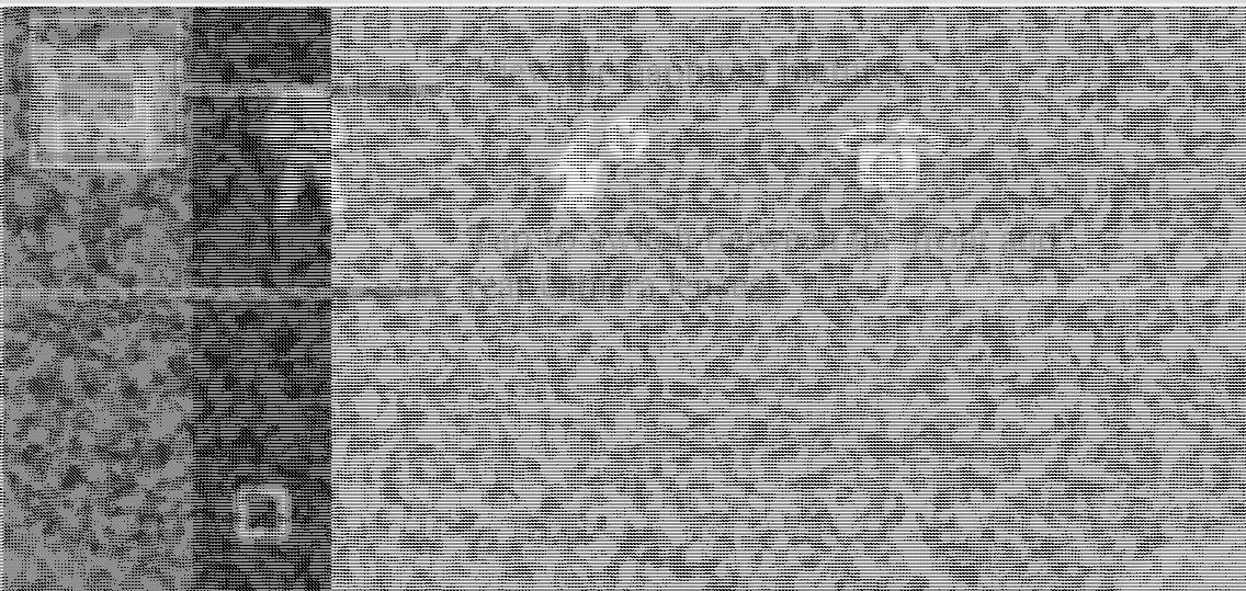 FCC ID WA6TL8010 Users Manual