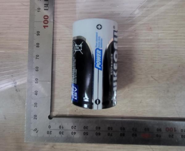 Battery (Alkaline/Manganese Battery (L)) Product photo
