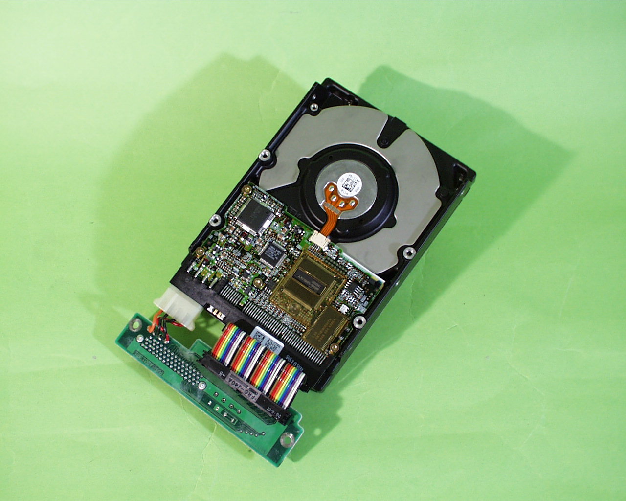Disk 1 Rear