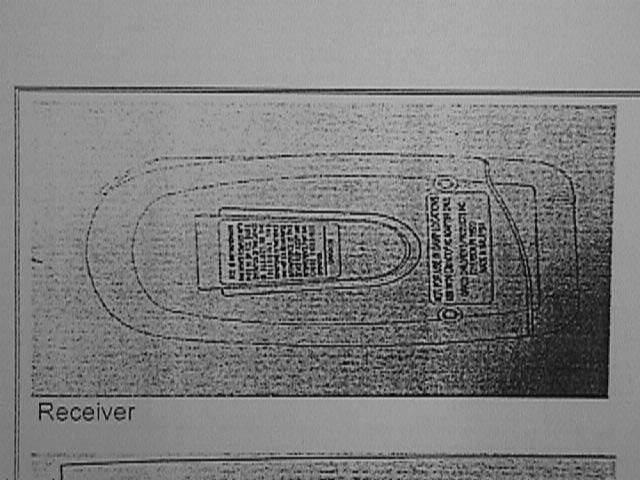 label info