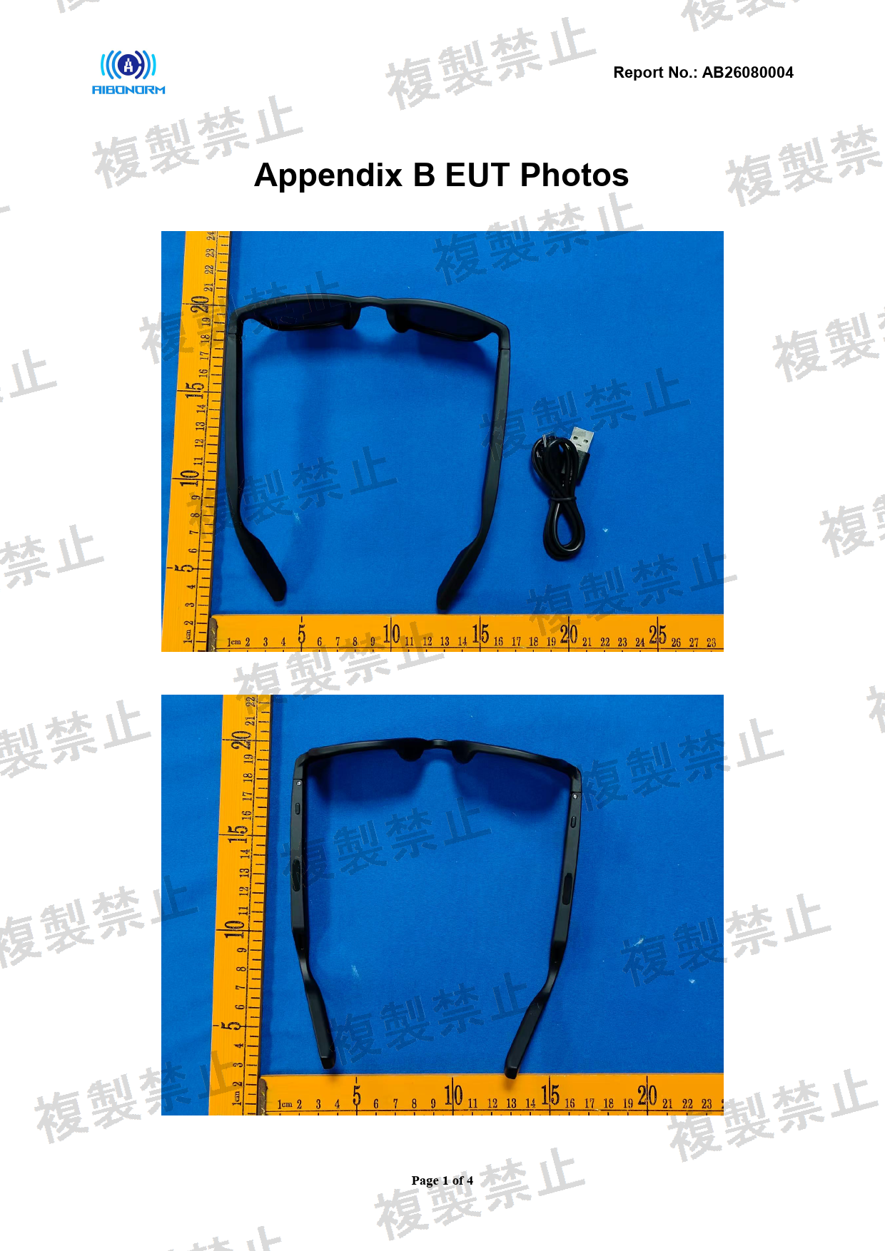 First page of 219-269491_01_004.pdf