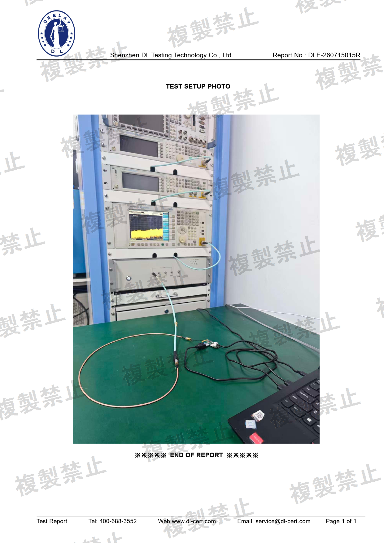 First page of 219-269419_01_009.pdf