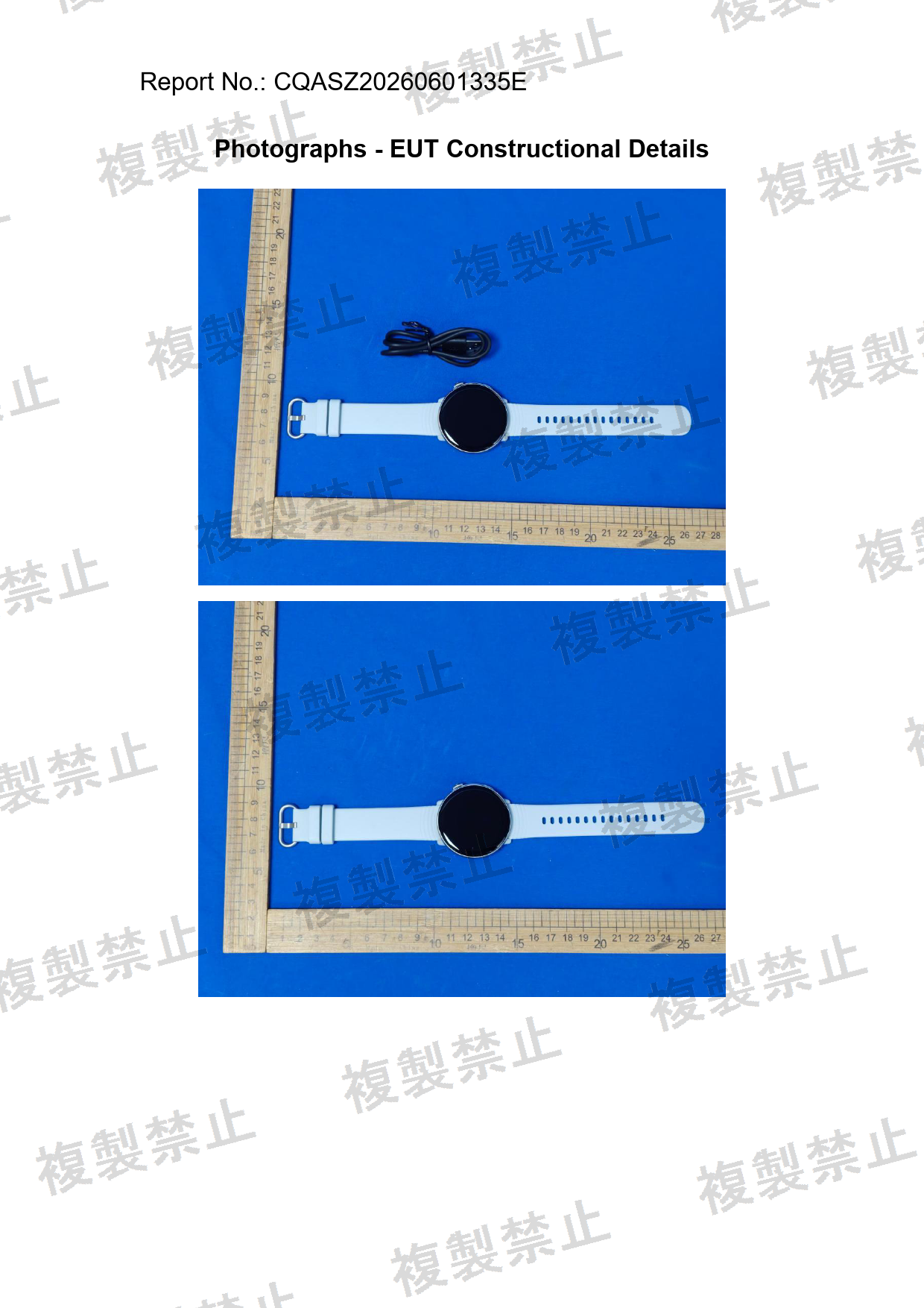First page of 219-268189_02_002.pdf