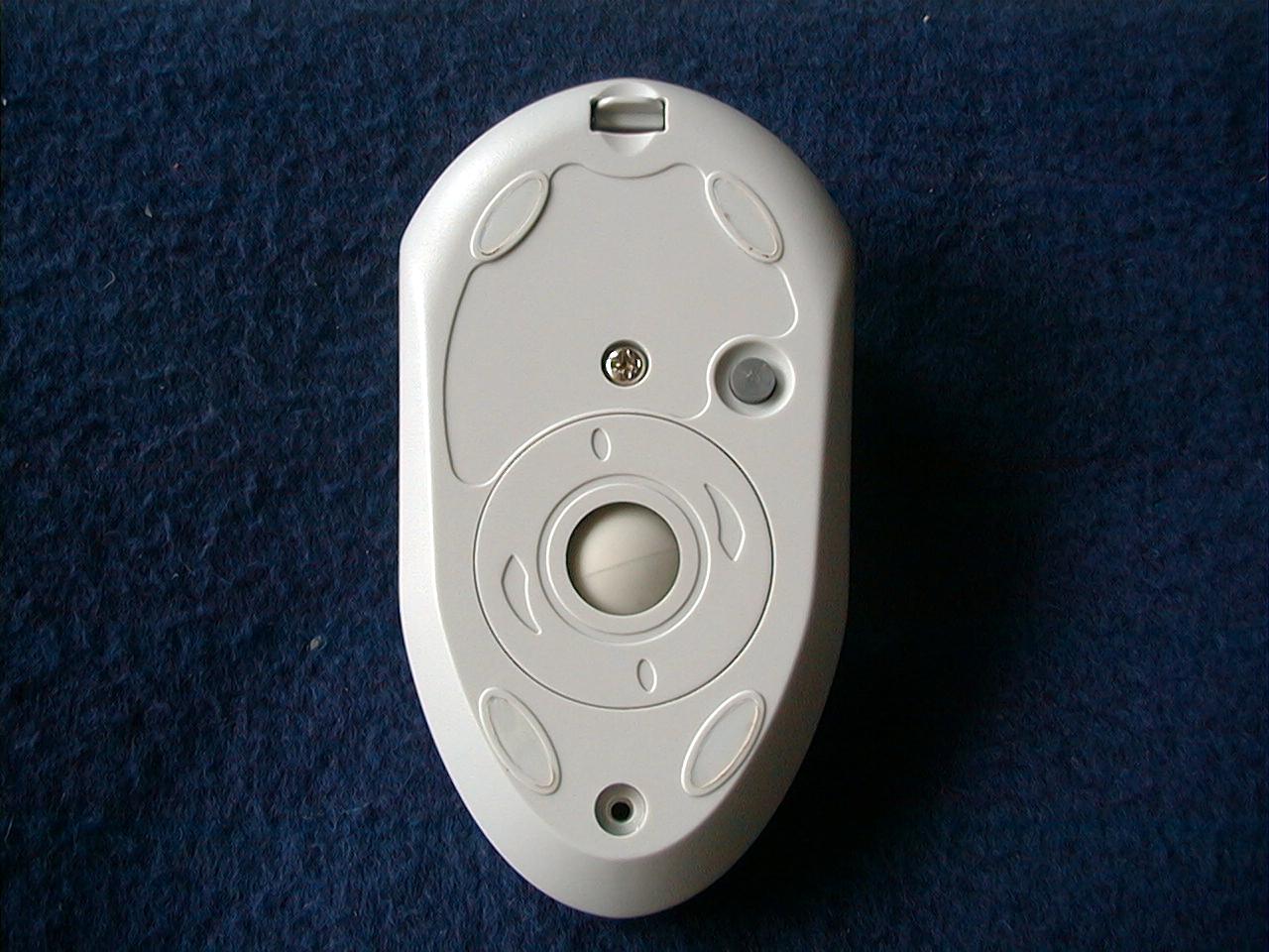 REAR VIEW OF EUT