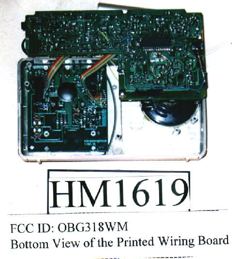 318WM